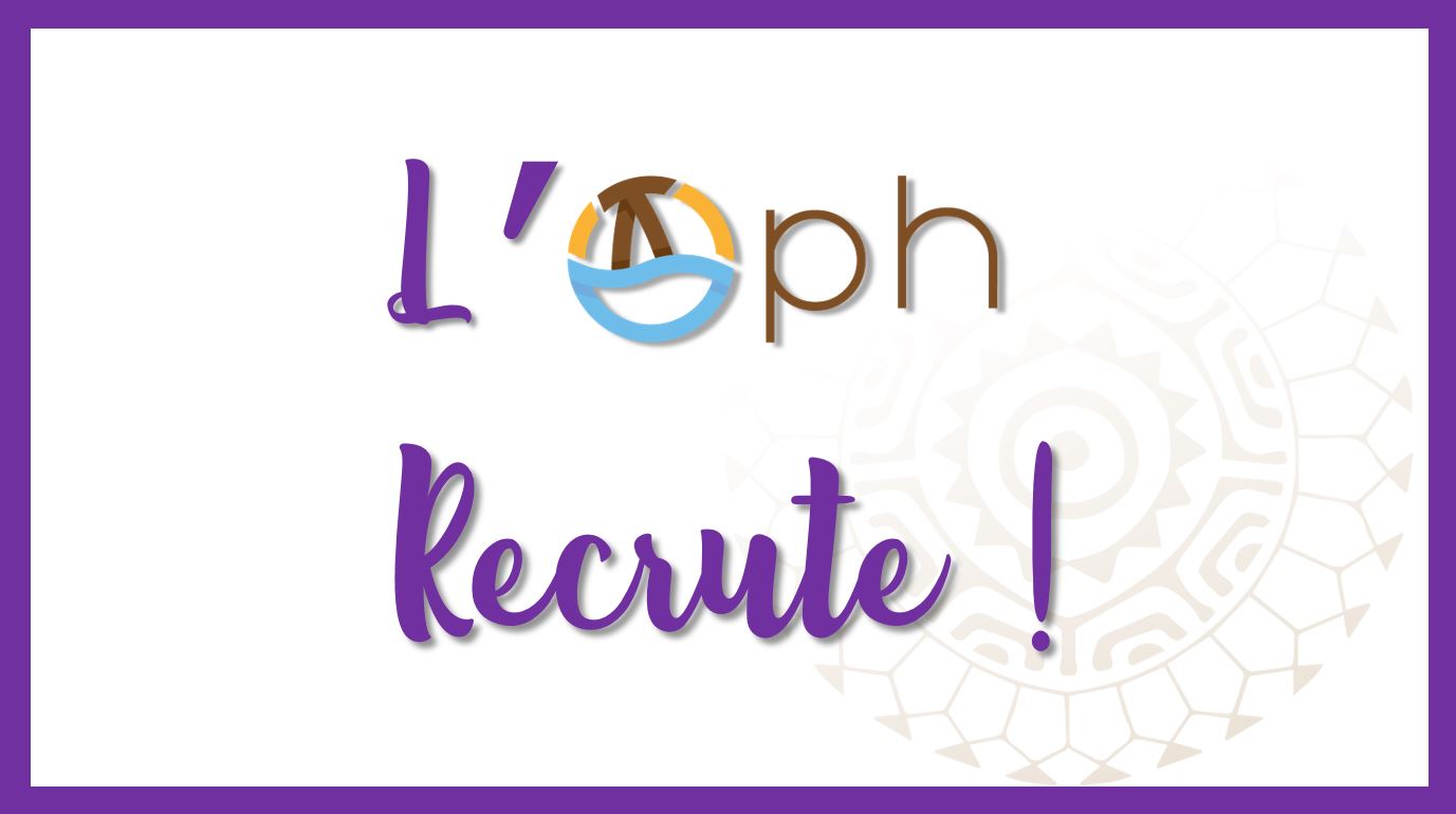 L'OPH recrute un(e) dessinateur(rice) projeteur(euse)